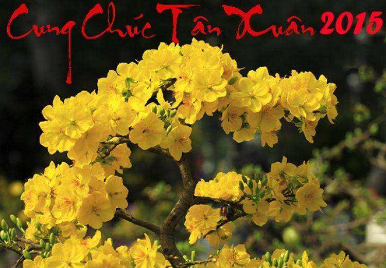 Chúc Mừng Năm Mới Chúc Mừng Năm Mới