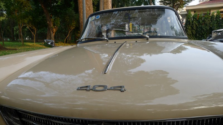 Peugeot 404 _ Sư tử sinh năm 1962