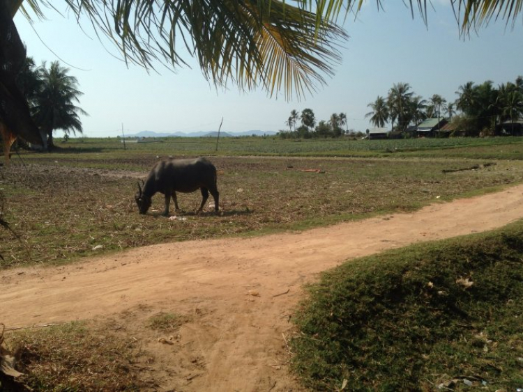 Kệ! Mình cứ du xuân từ mùng 1