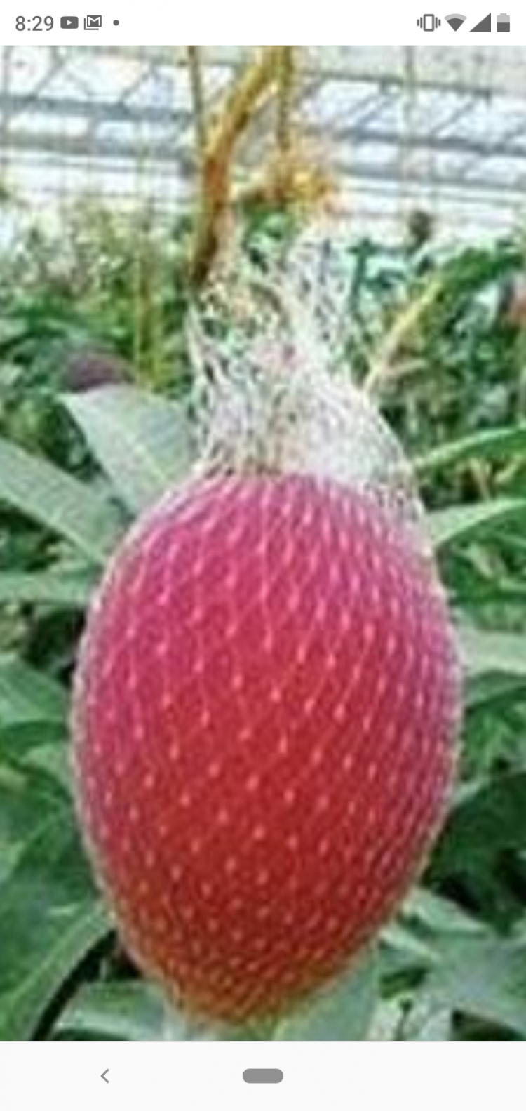 Tìm chỗ mua Đất trồng cây Tìm chỗ mua Đất trồng cây