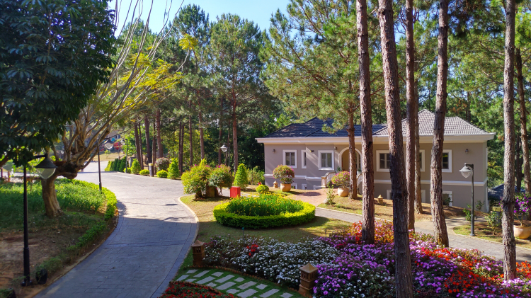 Resort hồ tuyền lâm Resort hồ tuyền lâm