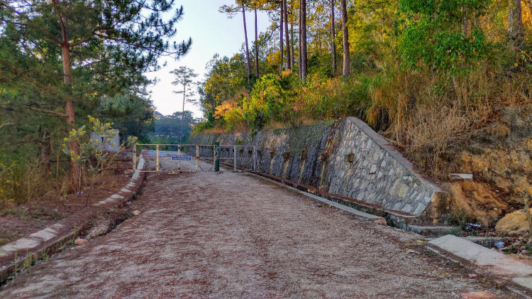 Tổng hợp các thớt về DALAT từ A đến Z Tổng hợp các thớt về DALAT từ A đến Z