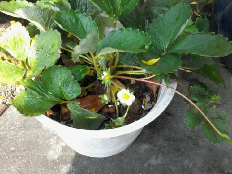 Khu phố 8888 - Chém gió chuyên nghiệp và đầy văn hóa (Tập 2) Khu phố 8888 - Chém gió chuyên nghiệp và đầy văn hóa (Tập 2)