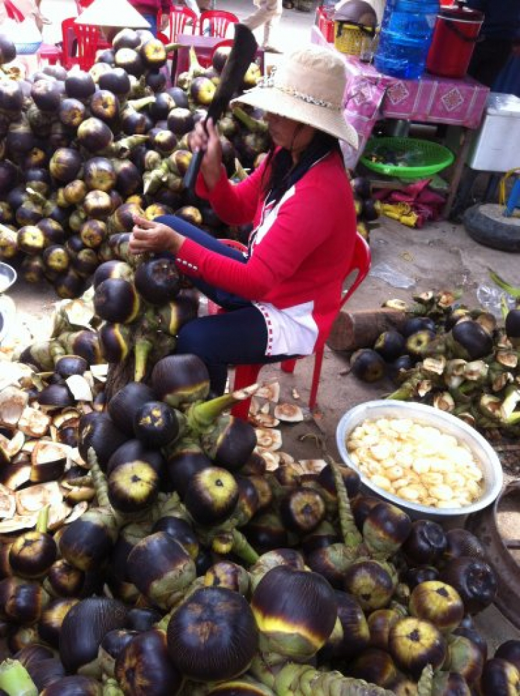 GMFCers du xuân Tết Ất Mùi