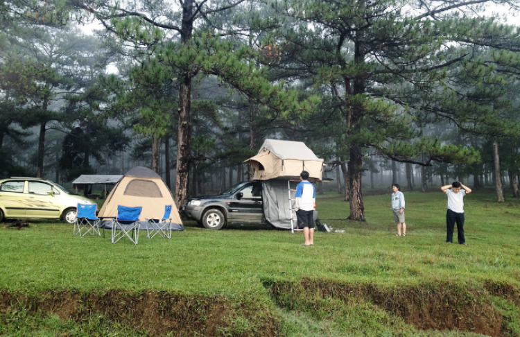 Tổng hợp các thớt về DALAT từ A đến Z Tổng hợp các thớt về DALAT từ A đến Z