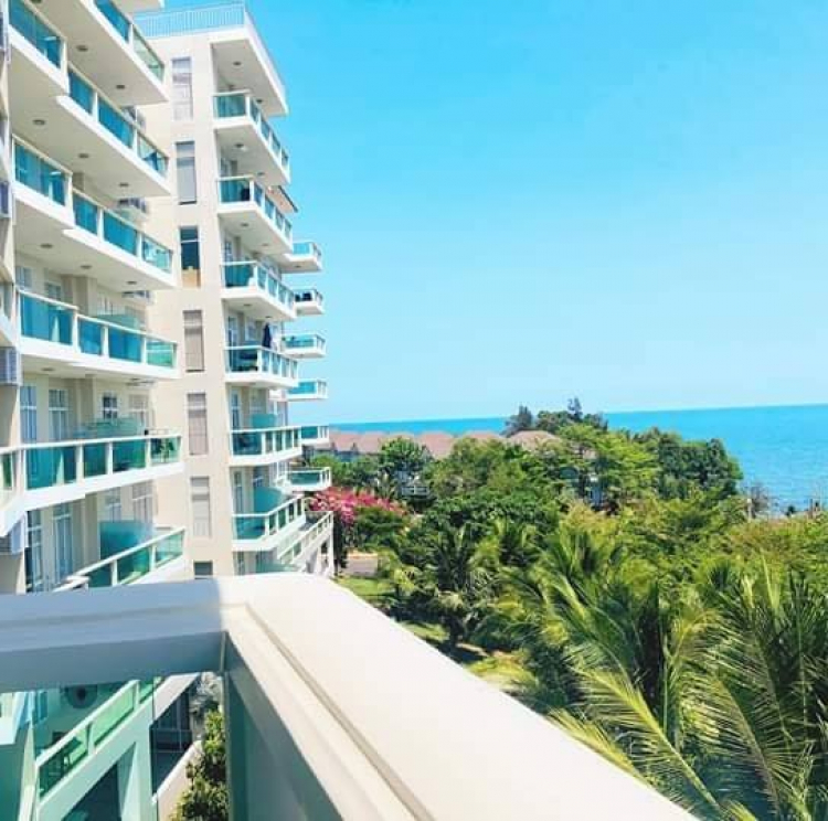 The Grand Hồ Tràm trong khoảng 4/3 đến 8/3 The Grand Hồ Tràm trong khoảng 4/3 đến 8/3