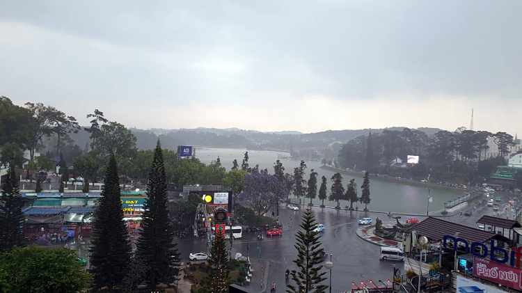 Tổng hợp các thớt về DALAT từ A đến Z Tổng hợp các thớt về DALAT từ A đến Z