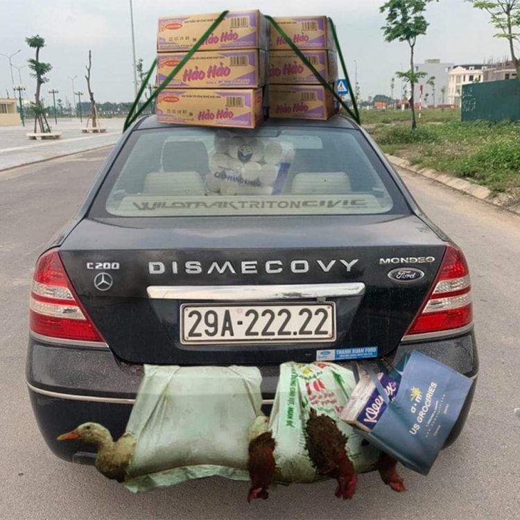 Tư vấn mua lại Toyota Camry 2003 Tư vấn mua lại Toyota Camry 2003