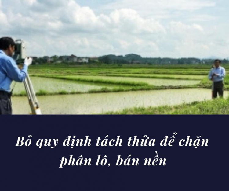 Bỏ quy định tách thửa để chặn phân lô, bán nền