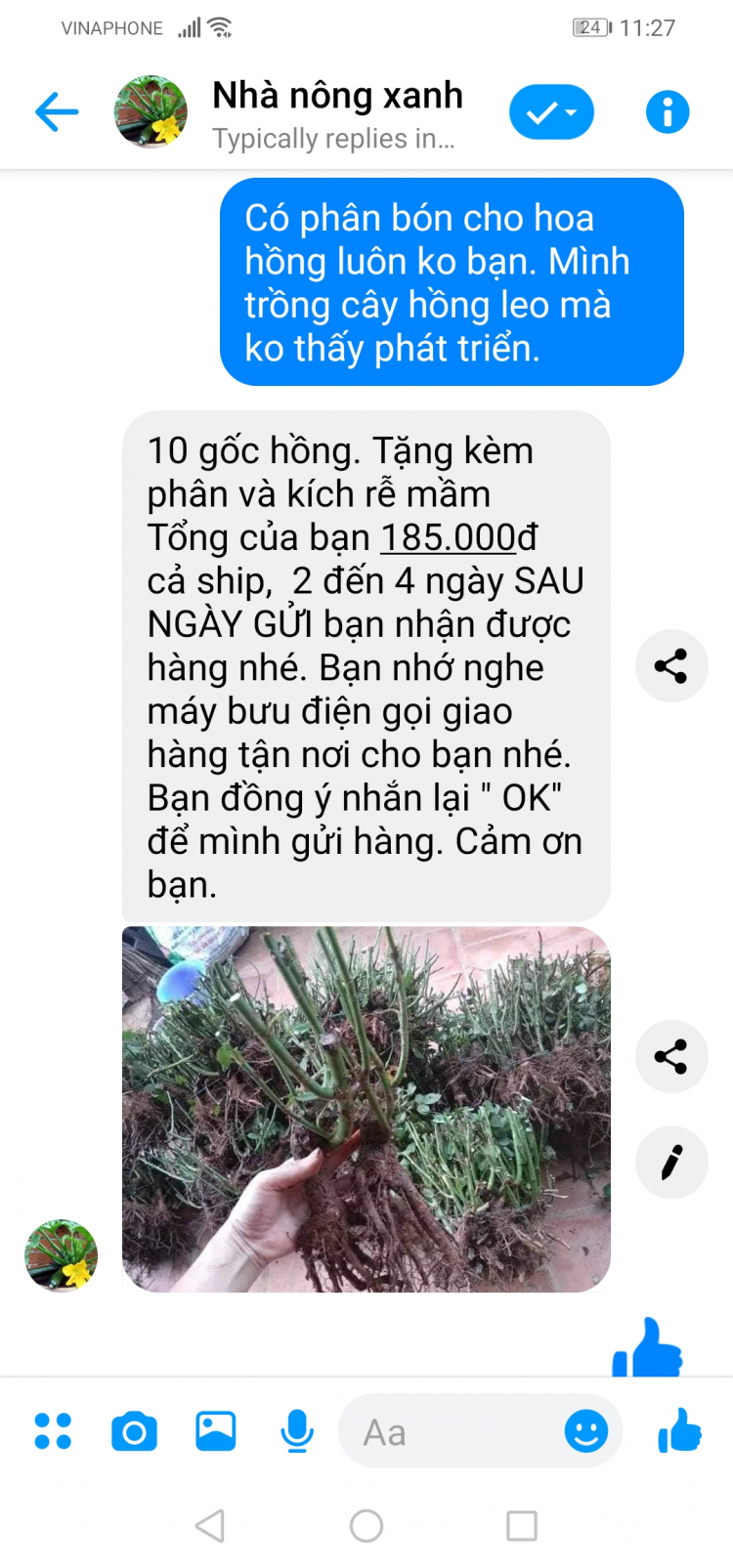 Mình mê nét đẹp của " Hoa sao nhái"