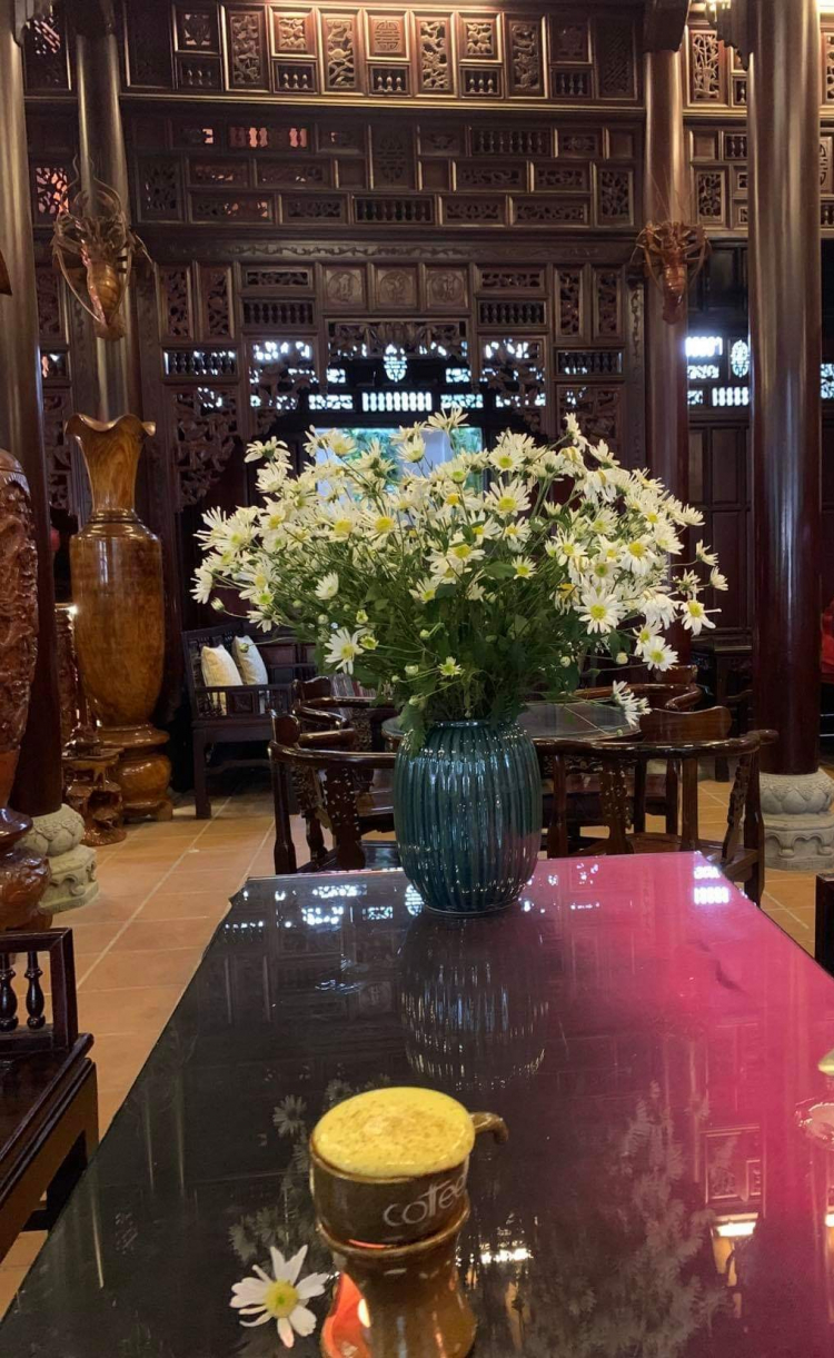 Mình mê nét đẹp của " Hoa sao nhái" Mình mê nét đẹp của " Hoa sao nhái"