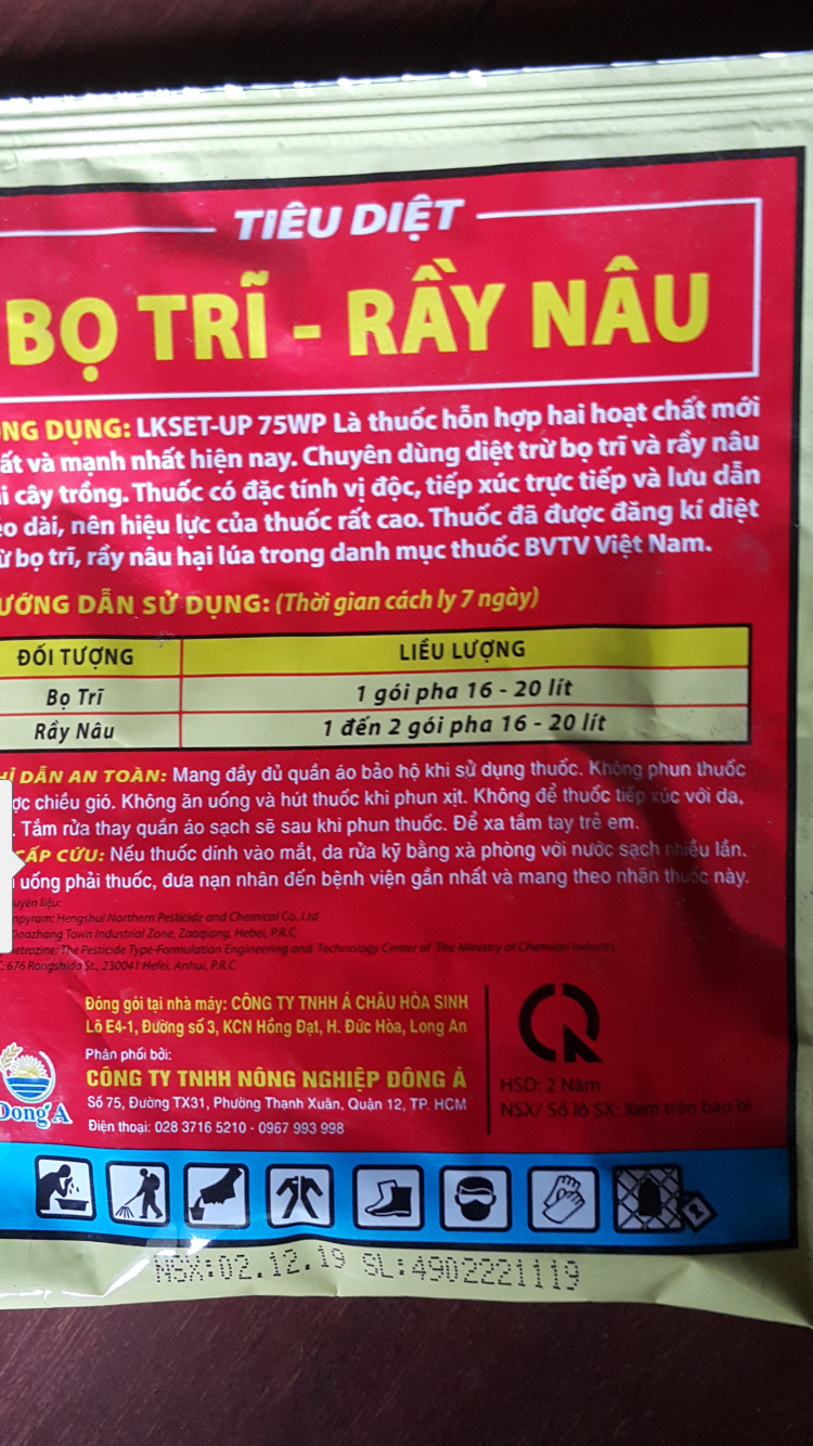 Mình mê nét đẹp của " Hoa sao nhái" Mình mê nét đẹp của " Hoa sao nhái"