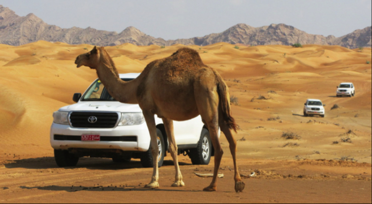 OMAN - DUBAI,  SELF DRIVE CARAVAN10 DAYS / 9 NIGHTS, 19 - 28 NOVEMBER 2015