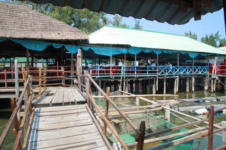 GMFCers du xuân Tết Ất Mùi GMFCers du xuân Tết Ất Mùi