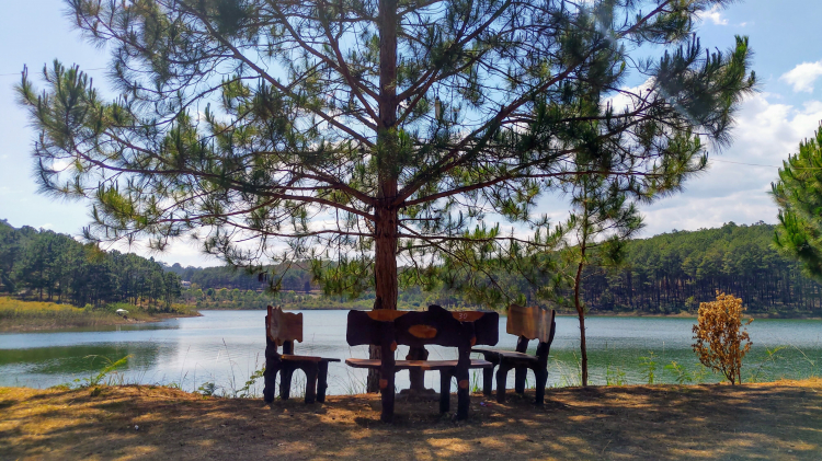 Tổng hợp các thớt về DALAT từ A đến Z Tổng hợp các thớt về DALAT từ A đến Z
