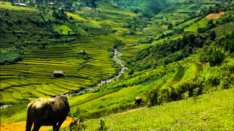 Tây Bắc - chuyến du lịch độc hành của tôi Tây Bắc - chuyến du lịch độc hành của tôi