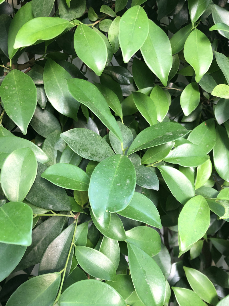 học nghề điện lạnh.