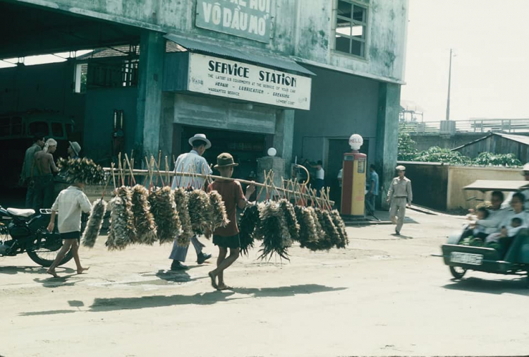 Những ngày xưa thân ái!