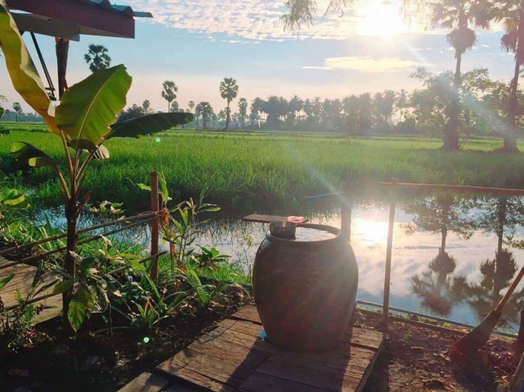 Trang trại sinh thái Tân Lâm Nguyên - Lâm Đồng Trang trại sinh thái Tân Lâm Nguyên - Lâm Đồng