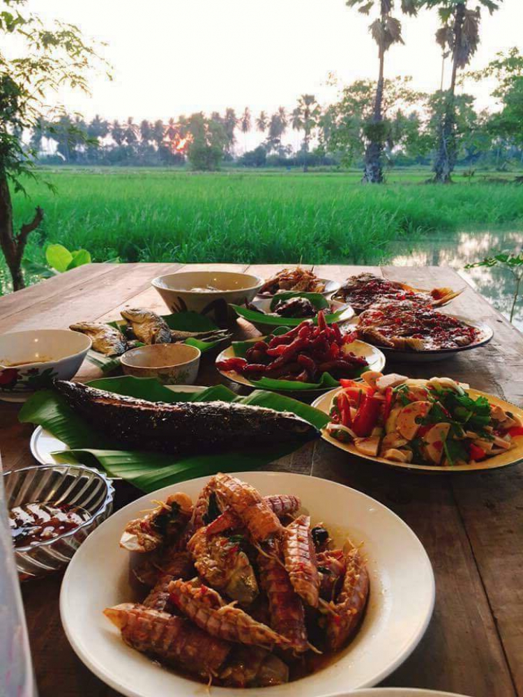 Trang trại sinh thái Tân Lâm Nguyên - Lâm Đồng Trang trại sinh thái Tân Lâm Nguyên - Lâm Đồng