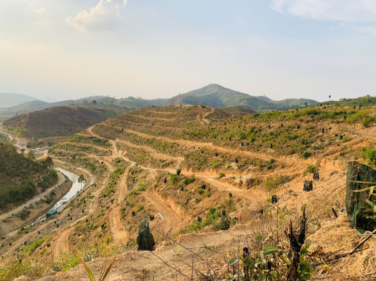 Trang trại sinh thái Tân Lâm Nguyên - Lâm Đồng