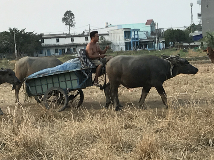 Jolie - Chiếc xe thân thiện