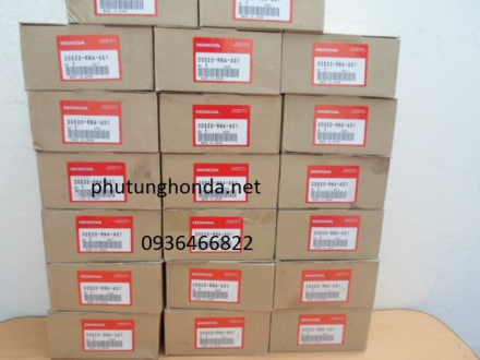 30520rnaa01-lm.JPG