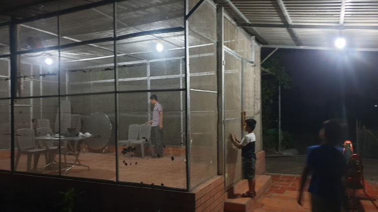 Khám phá Cánh đồng Bất Tận - Long An Khám phá Cánh đồng Bất Tận - Long An
