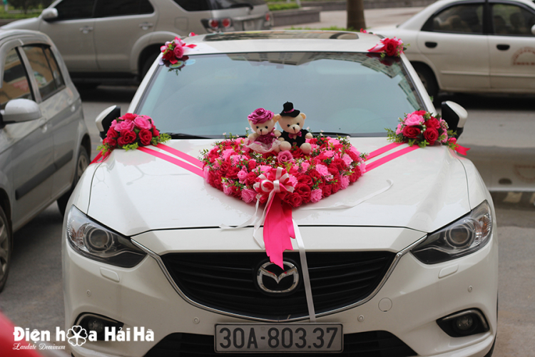 TÌM HOA CƯỚI GIẢ CHO XE HOA TÌM HOA CƯỚI GIẢ CHO XE HOA