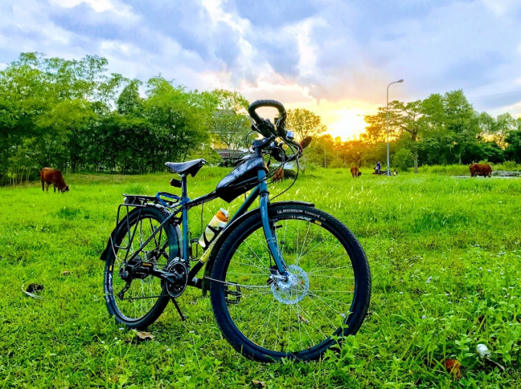 mua xe đạp Trek dual mua xe đạp Trek dual