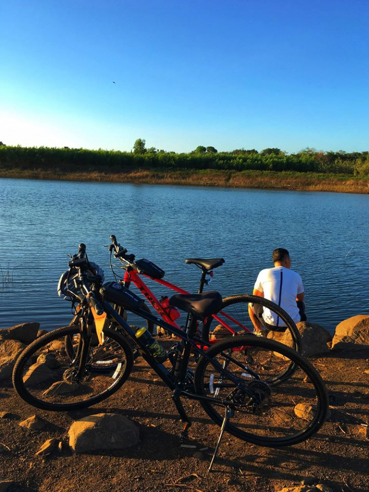mua xe đạp Trek dual mua xe đạp Trek dual