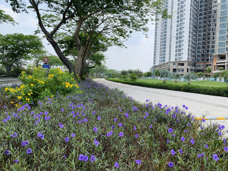 Eco Green Saigon Quận 7 - Phần 7: Tiến độ Tháng 4/2021 Eco Green Saigon Quận 7 - Phần 7: Tiến độ Tháng 4/2021