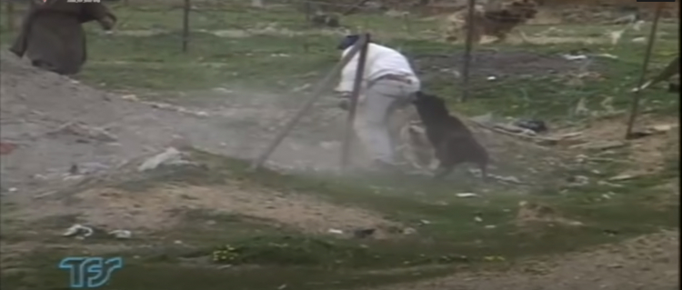 Chia sẻ phim hay để xem đi mấy a Chia sẻ phim hay để xem đi mấy a