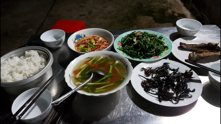 Dế cơm mùa này béo quá mí anh Dế cơm mùa này béo quá mí anh