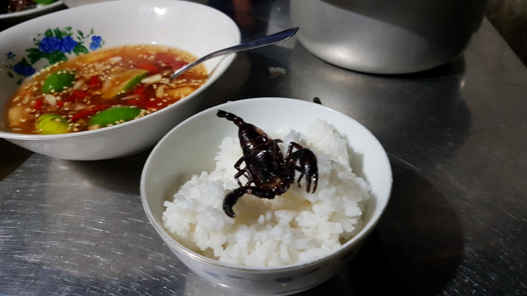 Dế cơm mùa này béo quá mí anh Dế cơm mùa này béo quá mí anh