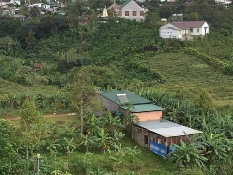 Thông tin xoay quanh BĐS Bảo Lộc.