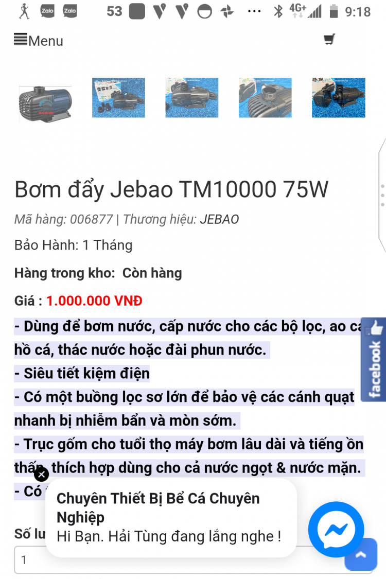 Máy bơm chìm hồ cá 12v