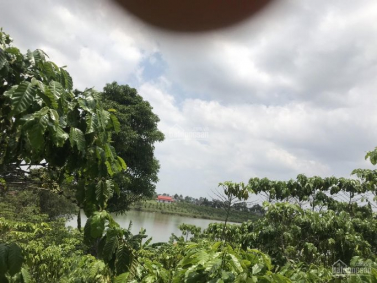 Thông tin xoay quanh BĐS Bảo Lộc. Thông tin xoay quanh BĐS Bảo Lộc.