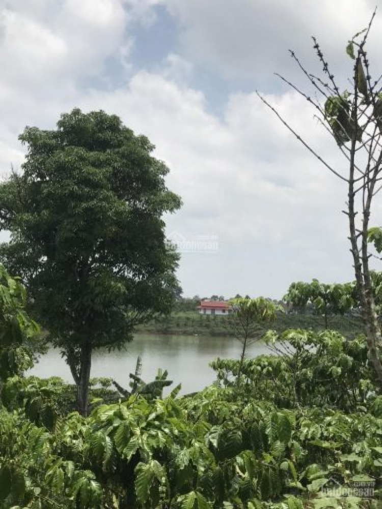 Thông tin xoay quanh BĐS Bảo Lộc. Thông tin xoay quanh BĐS Bảo Lộc.