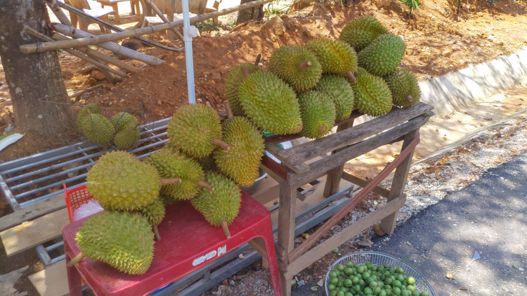 Tổng hợp các thớt về DALAT từ A đến Z Tổng hợp các thớt về DALAT từ A đến Z