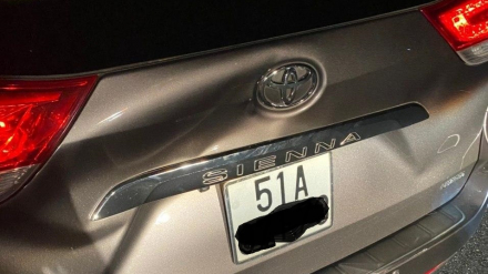 sienna.jpg