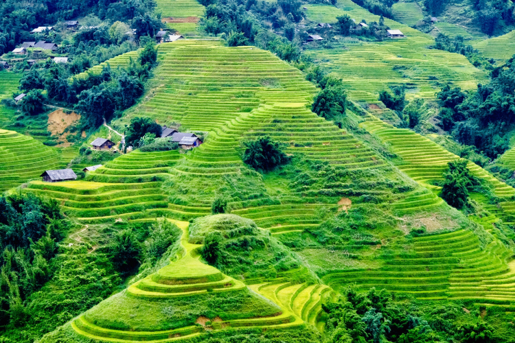 Xuyệt Việt - Đi khi ta còn có thể 2020 Xuyệt Việt - Đi khi ta còn có thể 2020