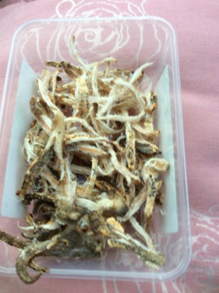 Nhật Ký Xuyên Việt Tết 2015 Nhật Ký Xuyên Việt Tết 2015