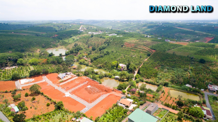 Thông tin xoay quanh BĐS Bảo Lộc. Thông tin xoay quanh BĐS Bảo Lộc.