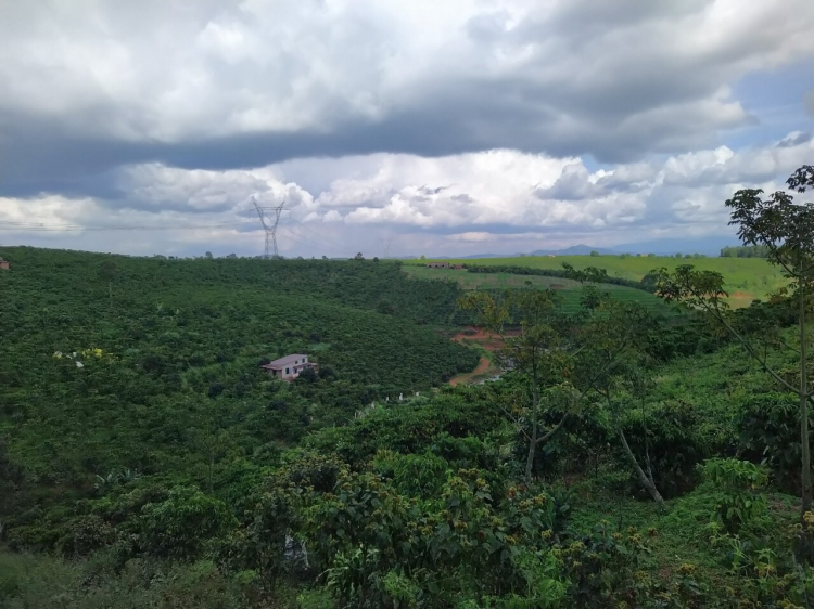 Thông tin xoay quanh BĐS Bảo Lộc.