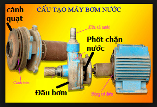 Máy bơm nước