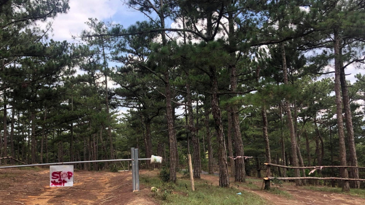 Tổng hợp các thớt về DALAT từ A đến Z Tổng hợp các thớt về DALAT từ A đến Z