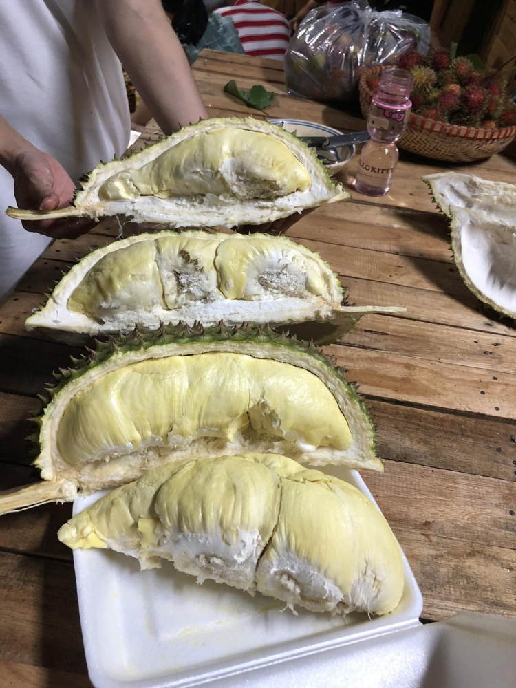 làm sao phân biệt sầu riêng không ngâm thuốc hay chích thuốc làm sao phân biệt sầu riêng không ngâm thuốc hay chích thuốc