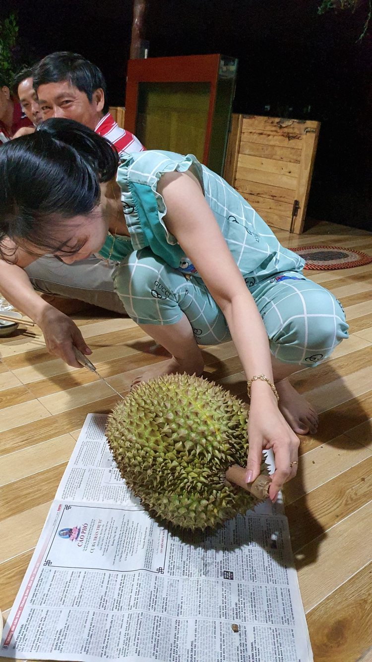 làm sao phân biệt sầu riêng không ngâm thuốc hay chích thuốc làm sao phân biệt sầu riêng không ngâm thuốc hay chích thuốc