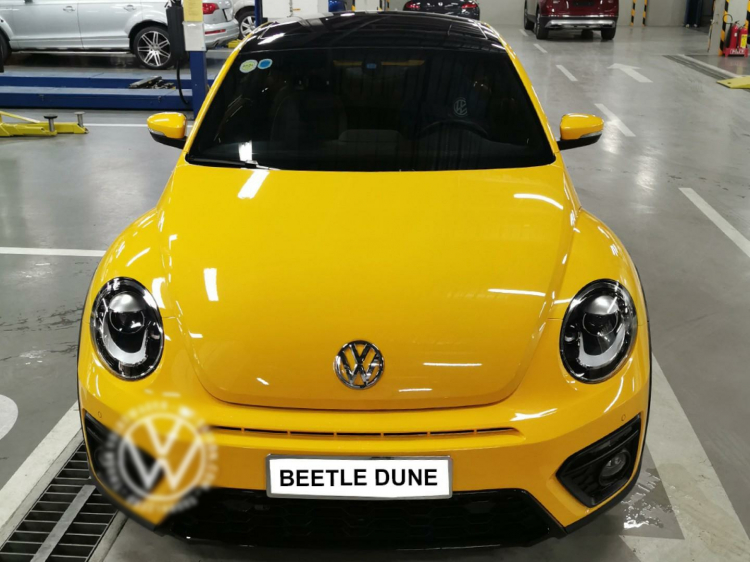 XE BỌ HUYỀN THOẠI - Volkswagen Beetle Dune 2020 - Đẹp Độc Lạ - Phụ nữ đi sang trọng, thu hút mọi ánh nhìn - Đảm bảo khác biệt - Số lượng ít